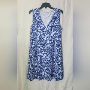 NWOT Blue & White v neck dress